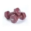 Spri Dumbbells Vinyl, Pair - 9,1 Kg