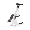 Gymstick Desk Bike