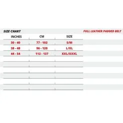 Gorilla Wear Gear 6 Inch Padded Leather Belt, Black/Gold 11 Gorilla Wear Gear 6 Inch Padded Leather Belt, Black/Gold -butik med fitnessudstyr 991079001r full leather padded belt black gold 6