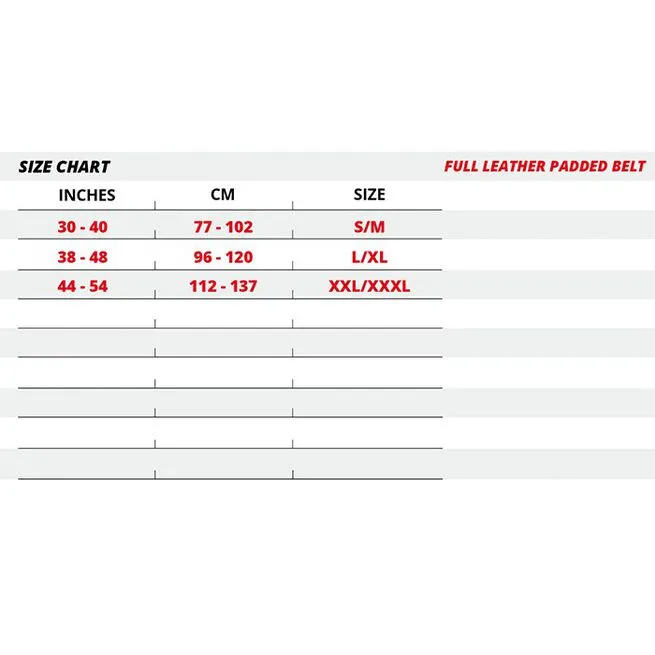 Gorilla Wear Gear 6 Inch Padded Leather Belt, Black/Gold 6 Gorilla Wear Gear 6 Inch Padded Leather Belt, Black/Gold - Billede 6