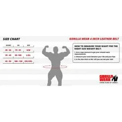 Gorilla Wear Gear 4 Inch Padded Leather Belt, Black 17 Gorilla Wear Gear 4 Inch Padded Leather Belt, Black -butik med fitnessudstyr 991569000r 4 inch padded leather belt black 1